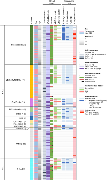 Characterisation of FLT3 alterations in childhood acute lymphoblastic leukaemia