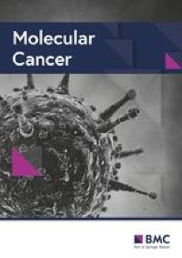 Immunoproteasome function maintains oncogenic gene expression in KMT2A-complex driven leukemia