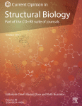 Commonly asked questions about transcriptional activation domains