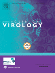 Development and evaluation of an easy to use real-time reverse-transcription loop-mediated isothermal amplification assay for clinical diagnosis of West Nile virus