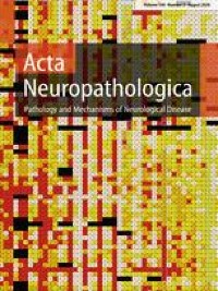 A new subtype of diffuse midline glioma, H3 K27 and BRAF/FGFR1 co-altered: a clinico-radiological and histomolecular characterisation