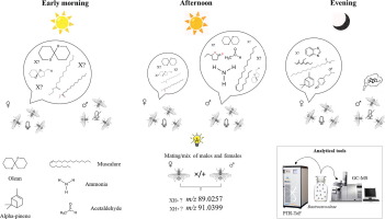 Diel rhythm of volatile emissions from males and females of the olive fruit fly Bactrocera oleae using PTR-ToF and GC-MS