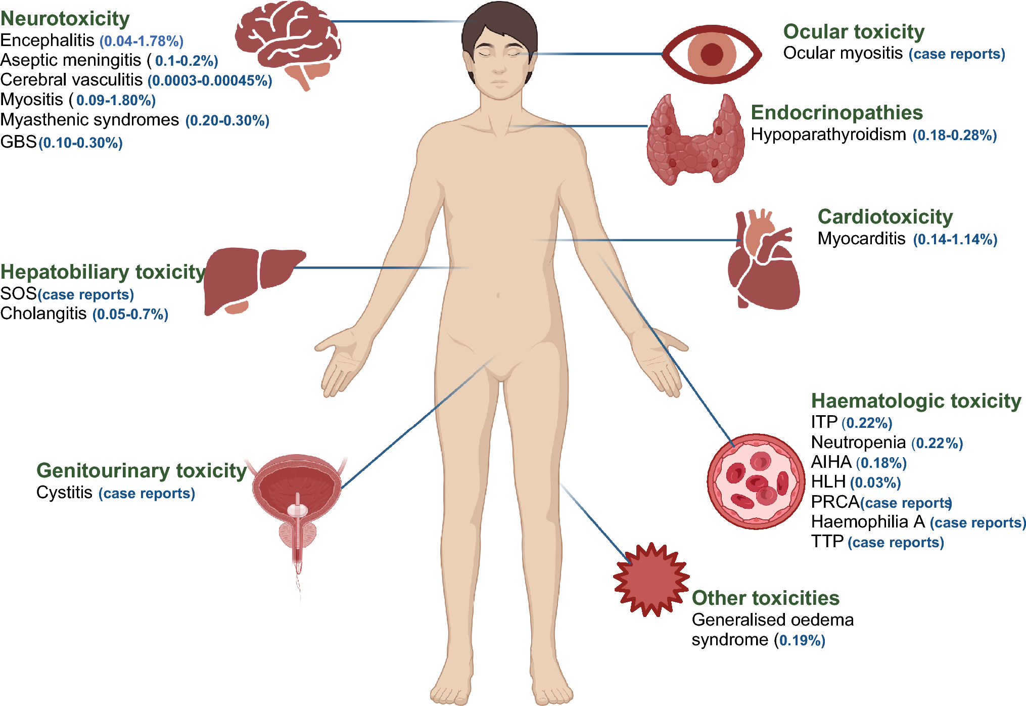 Rare Immune-Related Adverse Events (irAEs): Approach to Diagnosis and Management