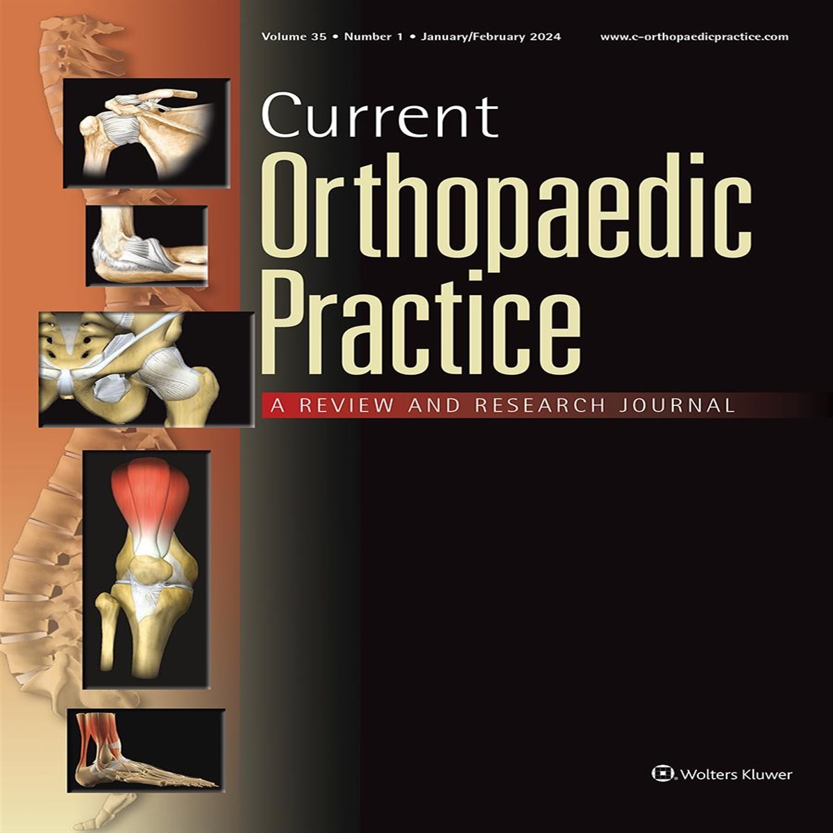 Reconstruction vs. repair: a review of recent trends and controversies for management of ACL rupture