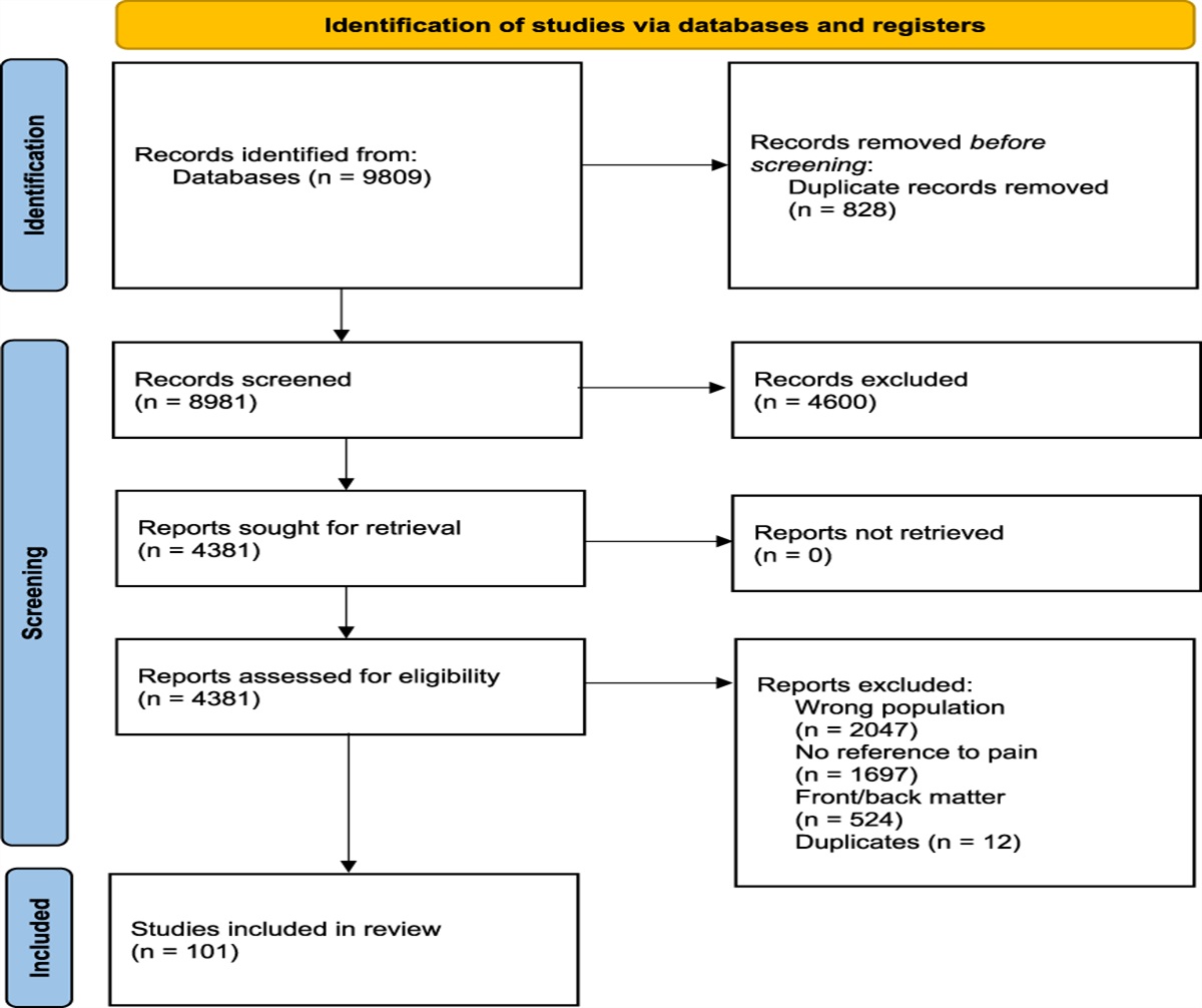 “I did not expect the doctor to treat a ghost”: a systematic review of published reports regarding chronic postamputation pain in British First World War veterans