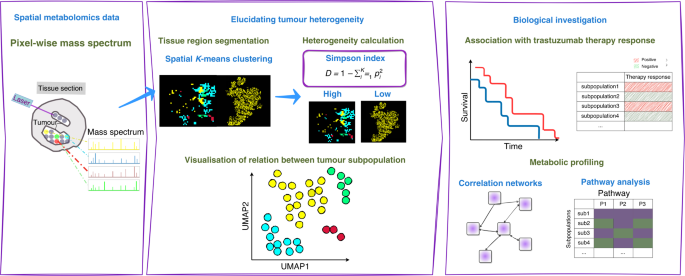 Metabolic heterogeneity affects trastuzumab response and survival in HER2-positive advanced gastric cancer