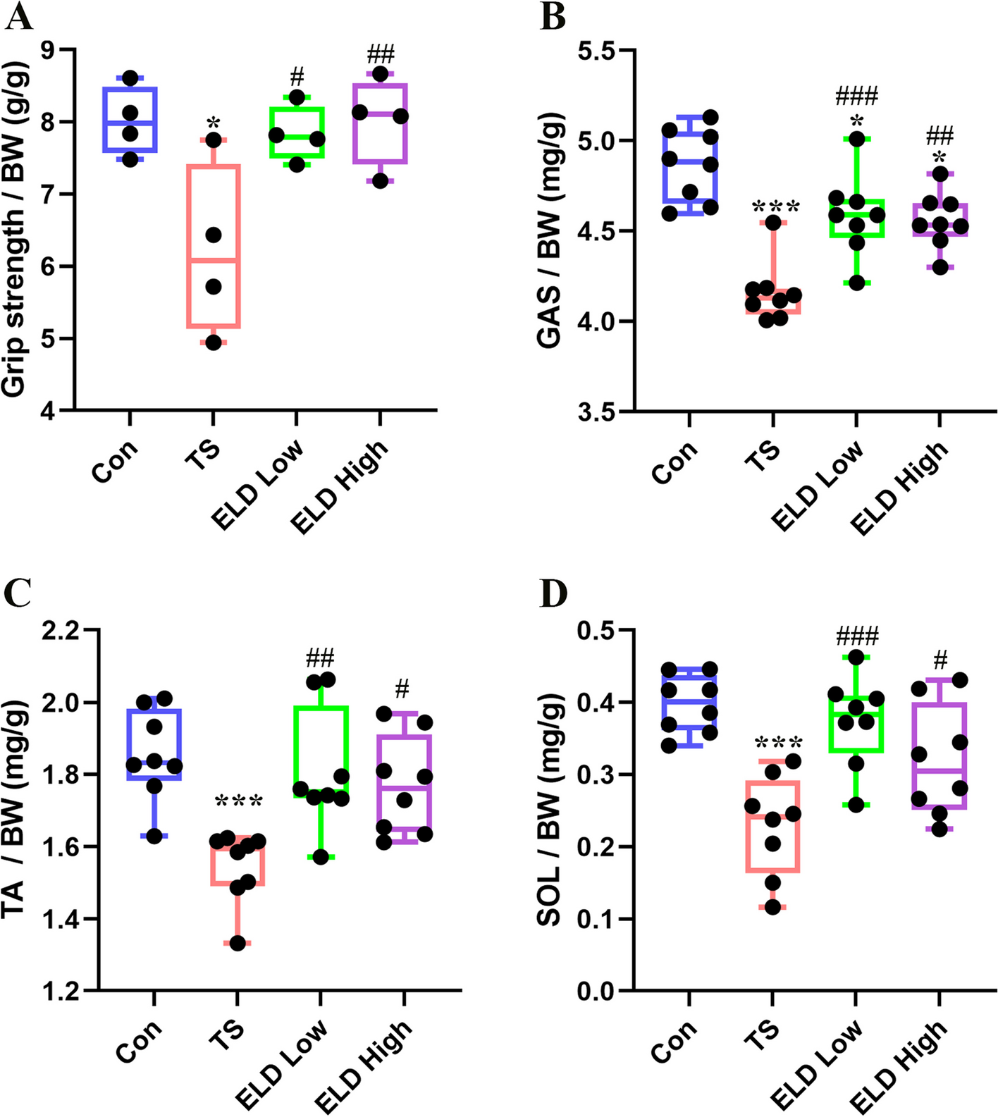 Eldecalcitol prevents muscle loss and osteoporosis in disuse muscle atrophy via NF-κB signaling in mice