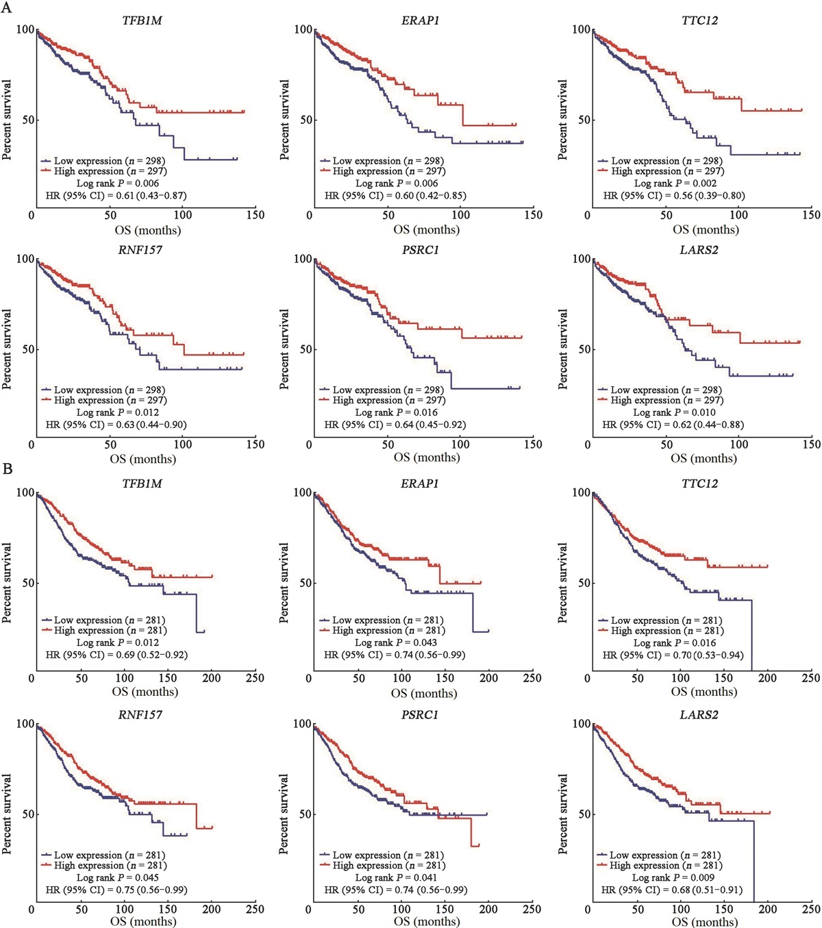 A genetic variant in the immune-related gene ERAP1 affects colorectal cancer prognosis