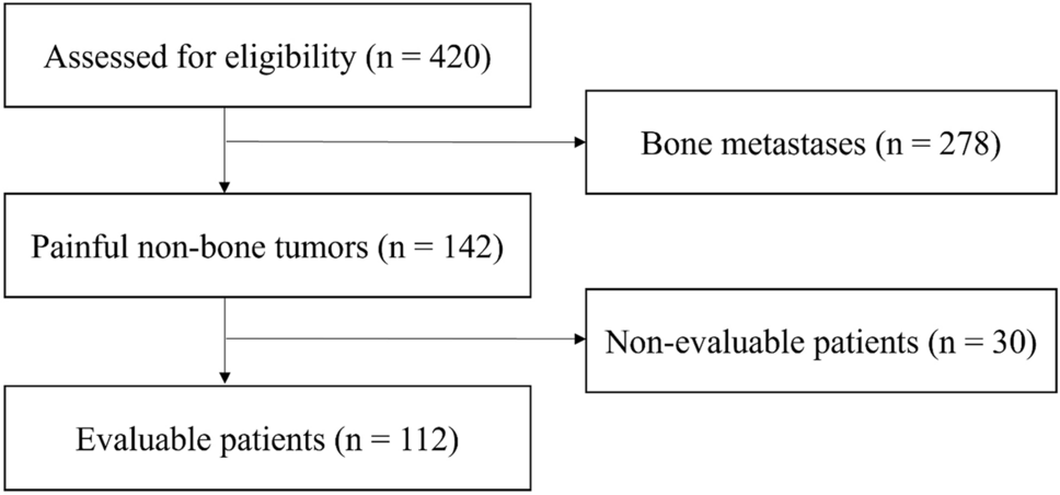 Palliative radiotherapy for painful non-bone lesions in patients with advanced cancer: a single center retrospective study