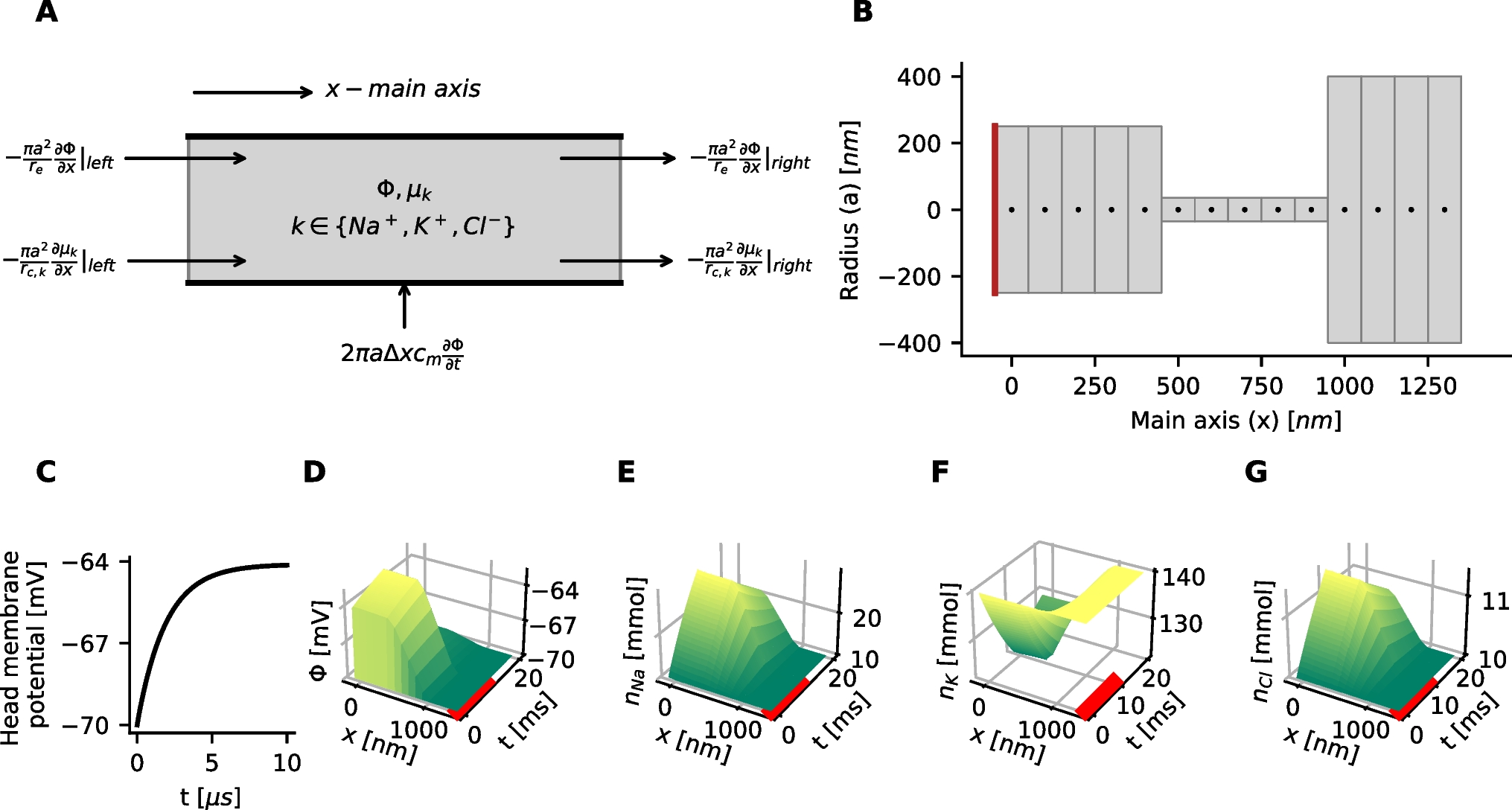 Ion-concentration gradients induced by synaptic input increase the voltage depolarization in dendritic spines