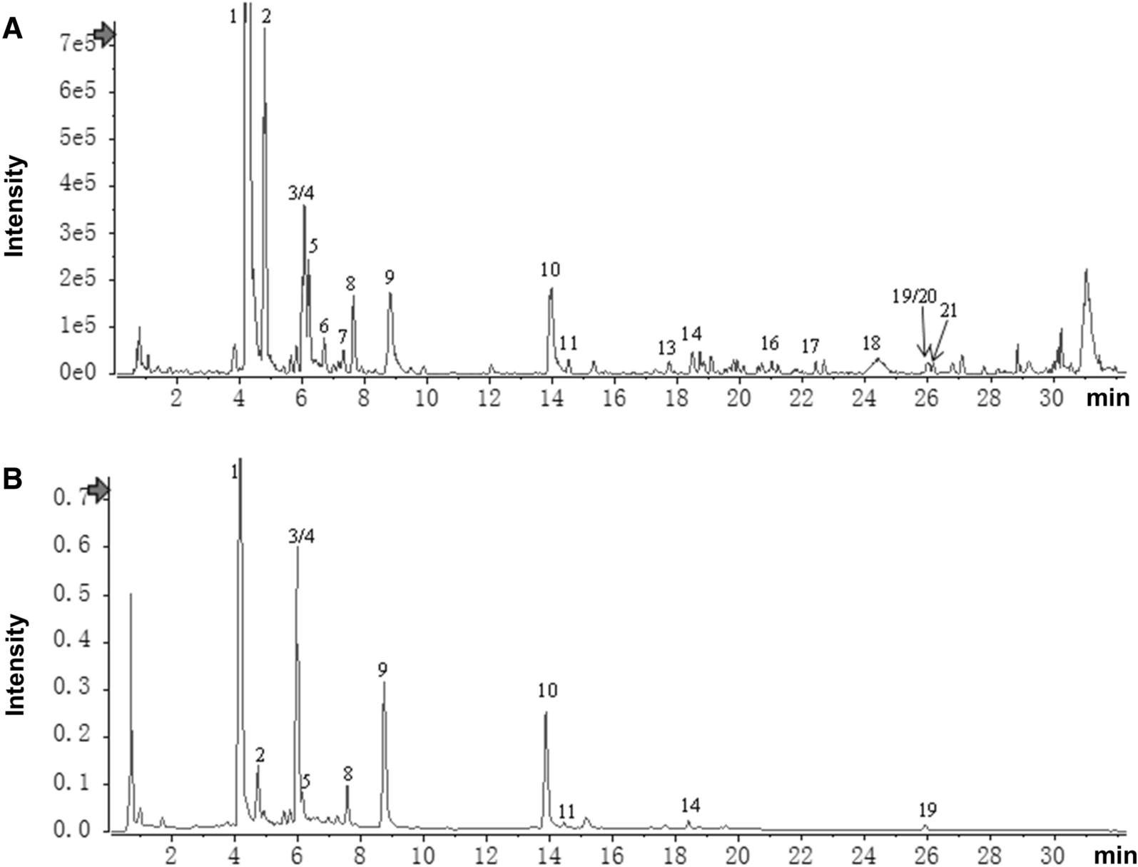 LanGui tea, an herbal medicine formula, protects against binge alcohol-induced acute liver injury by activating AMPK-NLRP3 signaling