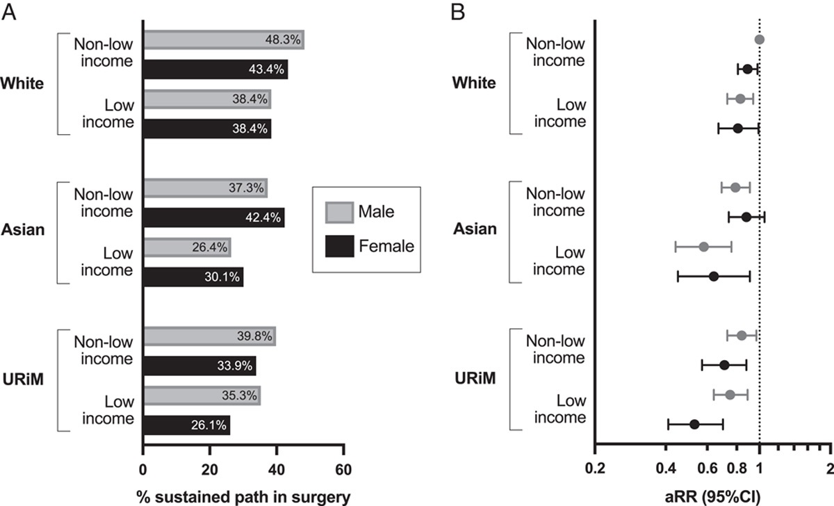 Association of Socioeconomic Status, Sex, Racial, and Ethnic Identity With Sustained and Cultivated Careers in Surgery