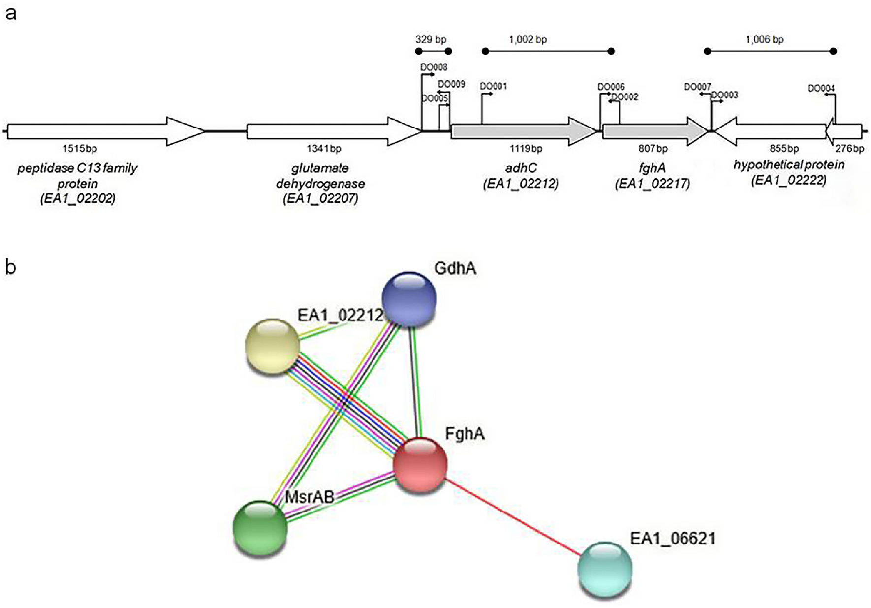 The Moraxella catarrhalis AdhC–FghA system is important for formaldehyde detoxification and protection against pulmonary clearance