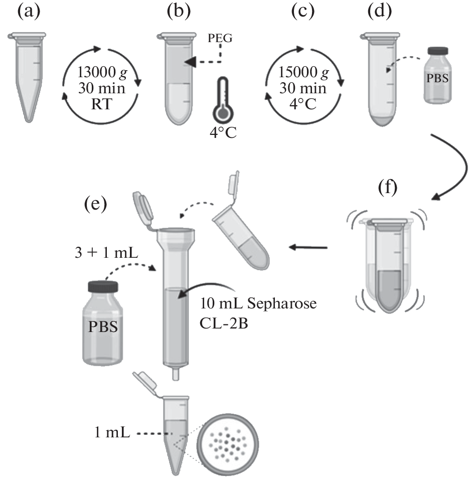 Quantitative Characteristics of Small Extracellular Vesicles from the Blood of Patients with Non-Suicidal Self-Injury