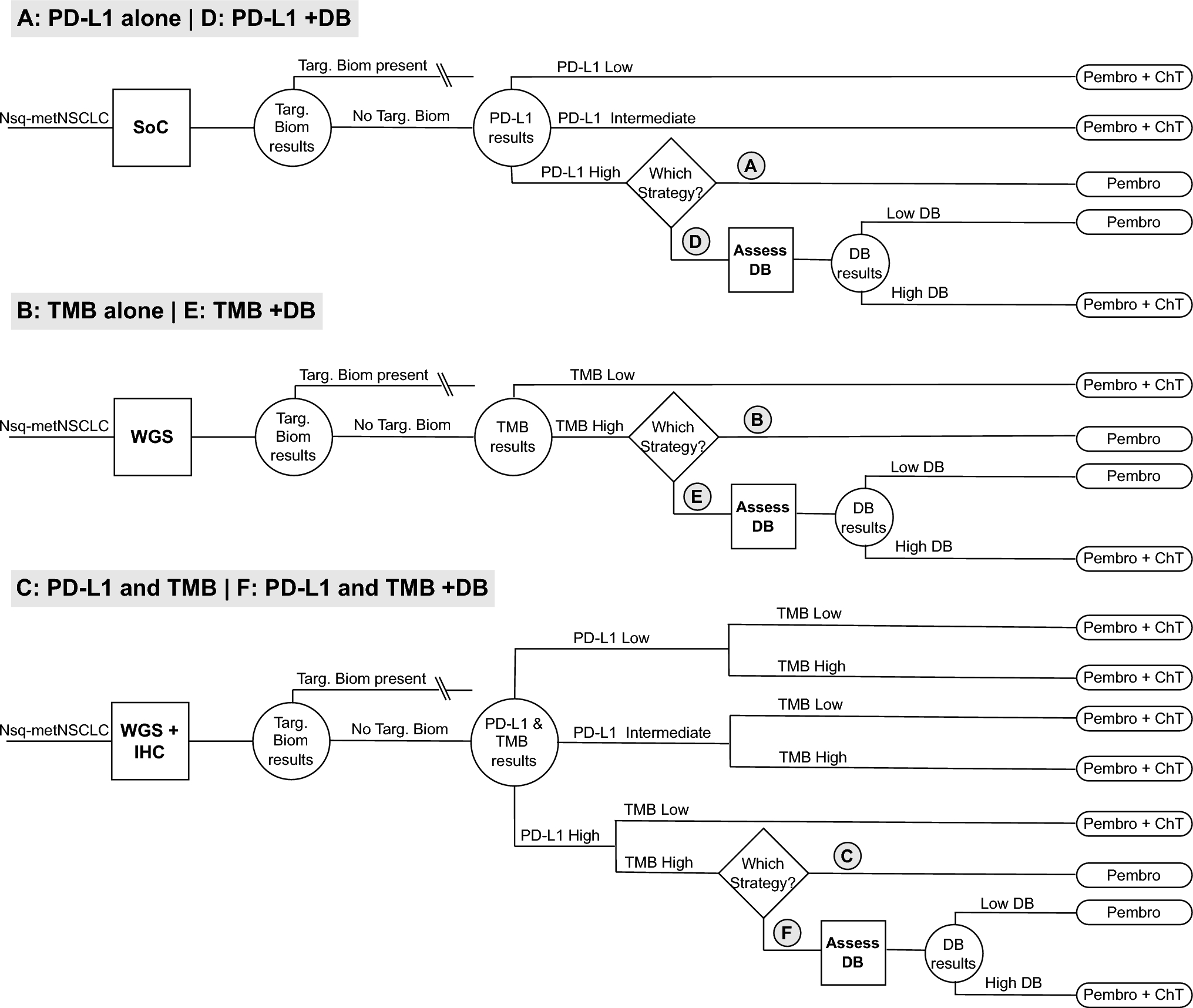 Exploring the Cost Effectiveness of a Whole-Genome Sequencing-Based Biomarker for Treatment Selection in Patients with Advanced Lung Cancer Ineligible for Targeted Therapy