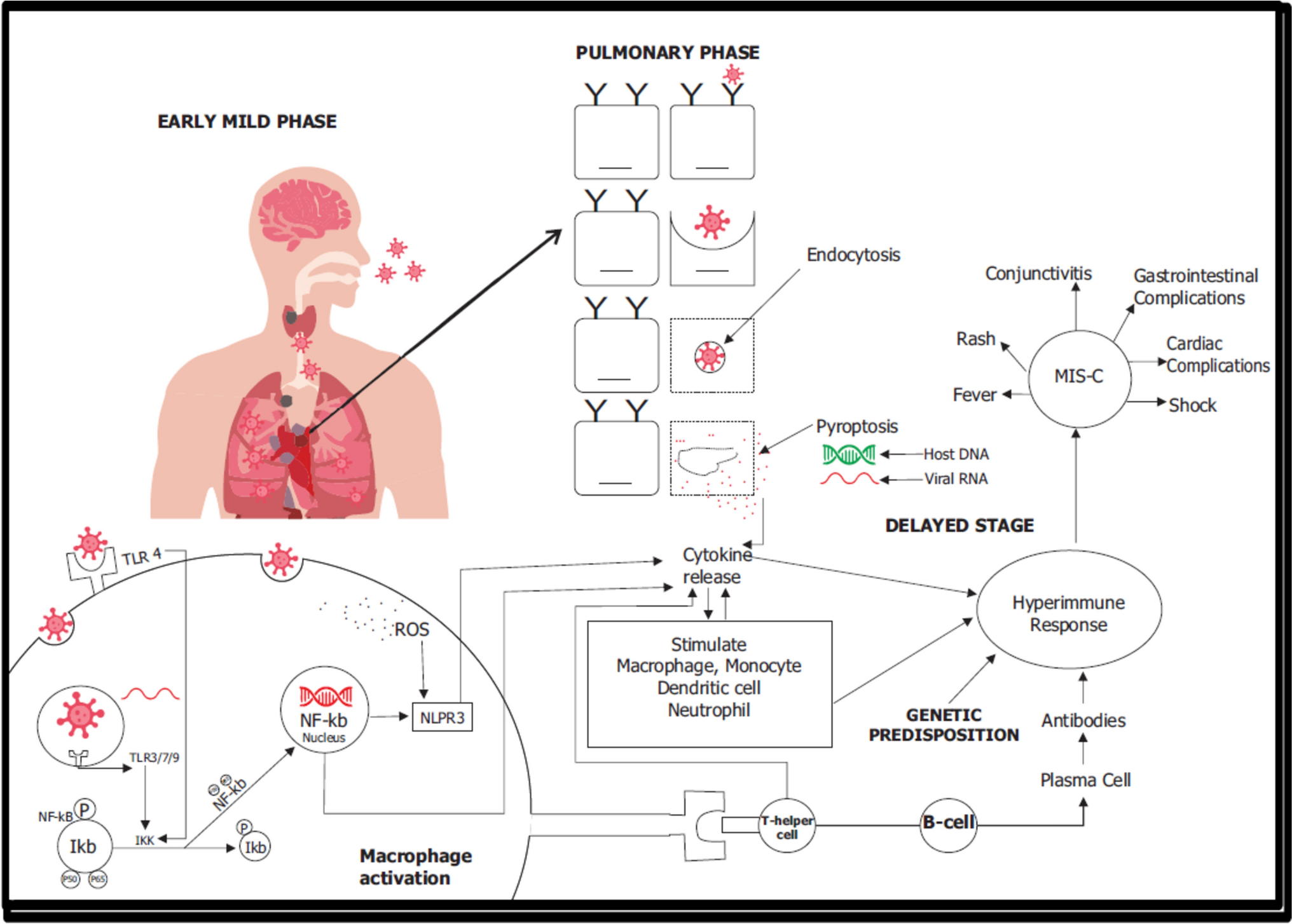 Exploring the Interplay Between Micronutrients and Cytokine Storm in Children with Multisystem Inflammatory Syndrome: ‘A Potential Mechanical Insight’