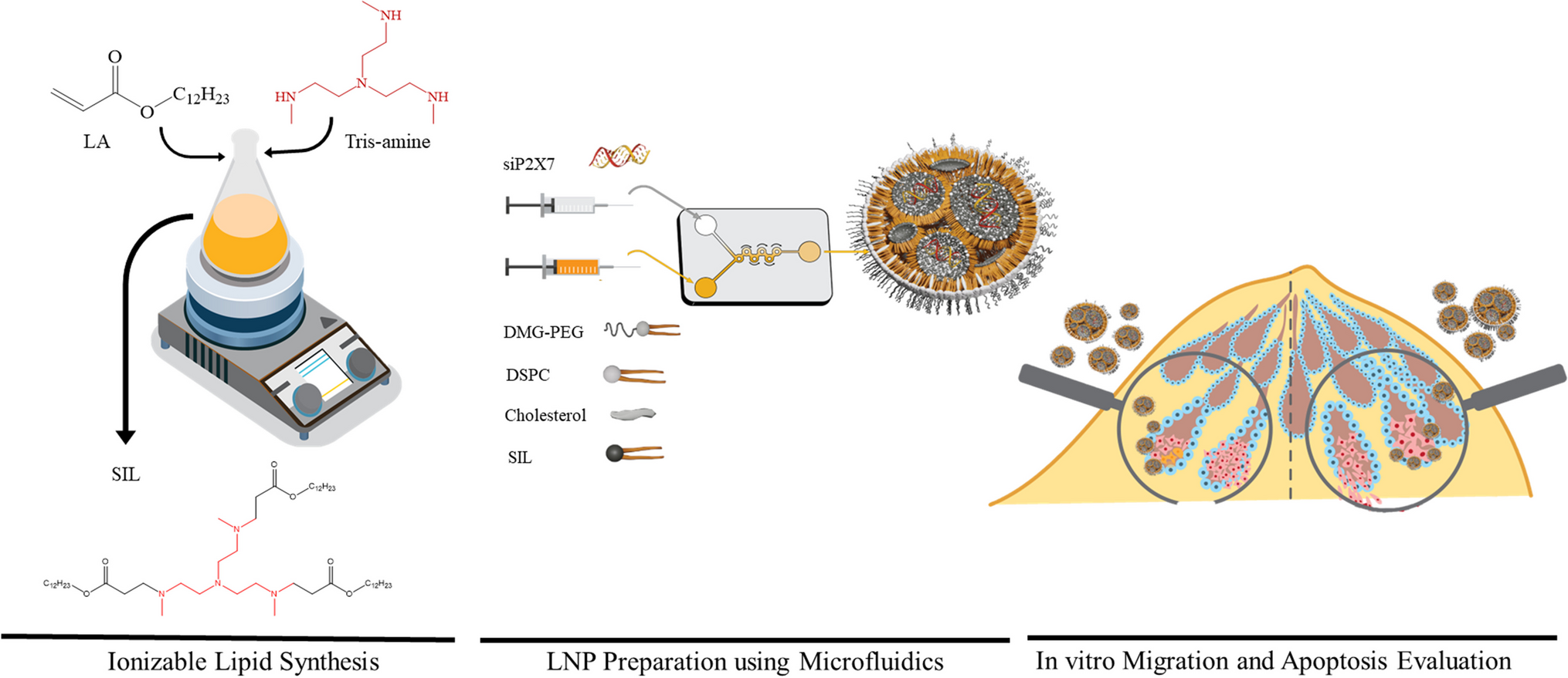 Novel synthesized ionizable lipid for LNP-mediated P2X7siRNA to inhibit migration and induce apoptosis of breast cancer cells