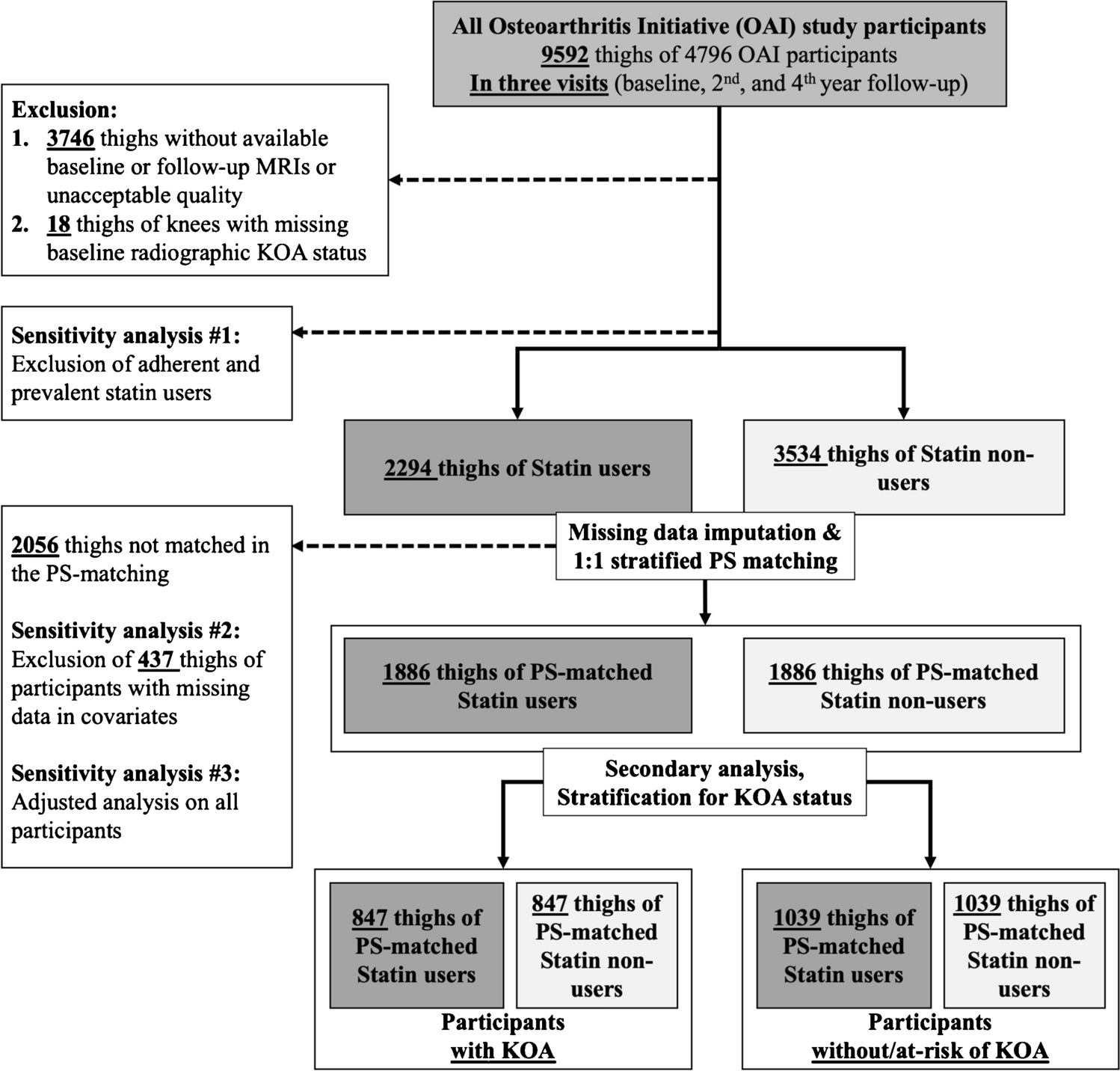 Statin use and longitudinal changes in quantitative MRI-based biomarkers of thigh muscle quality: data from Osteoarthritis Initiative