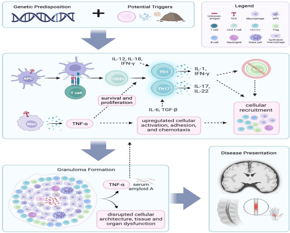 Tumor Necrosis Factor Inhibitors as Early Steroid-Sparing Therapy for Neurosarcoidosis: A Case Series