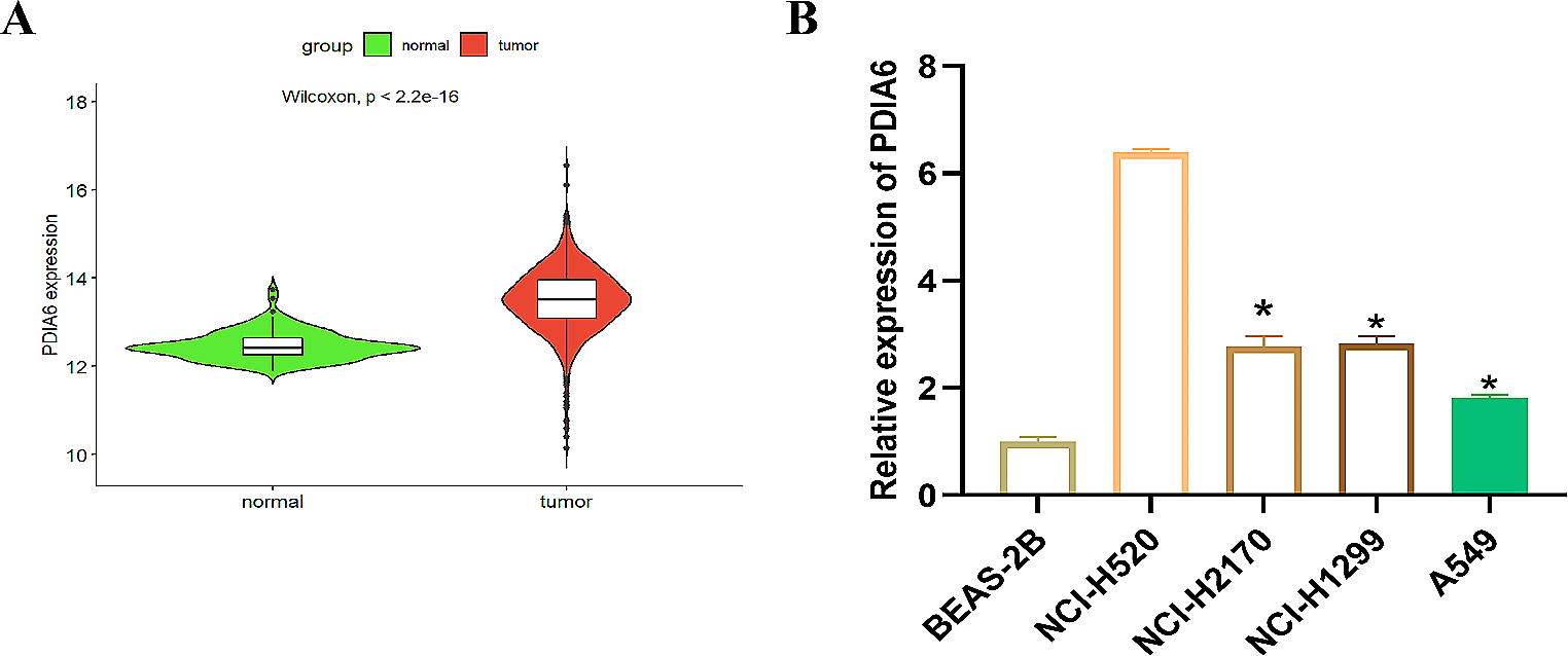 The SOX2/PDIA6 axis mediates aerobic glycolysis to promote stemness in non-small cell lung cancer cells