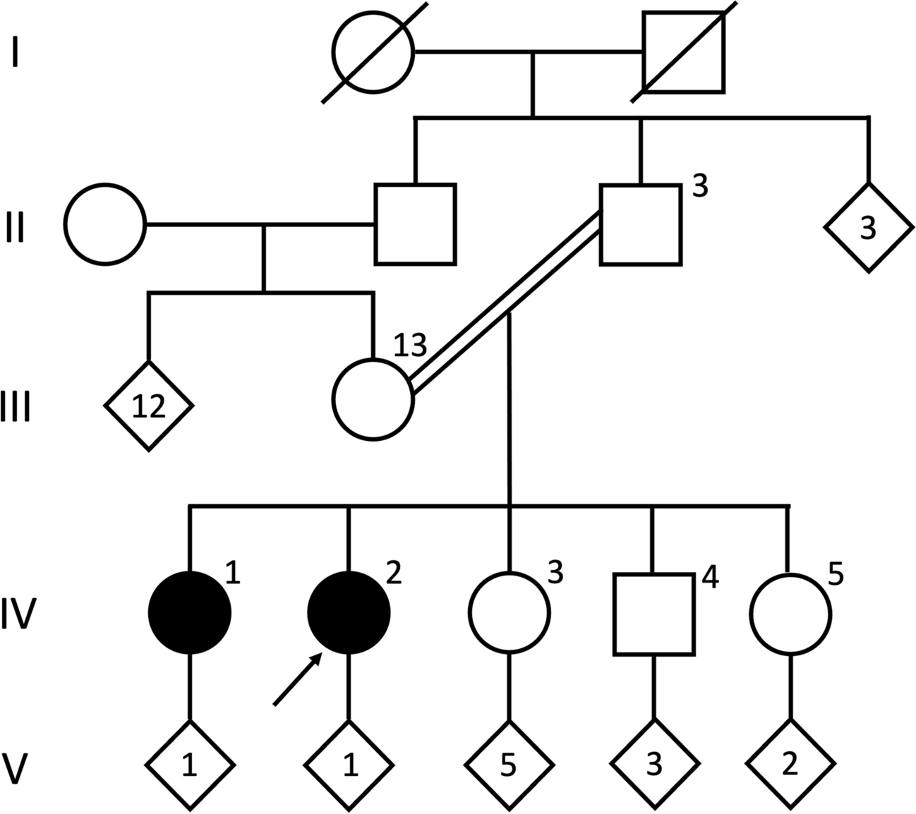 Atypical retinopathy in ataxia with vitamin E deficiency: report of a sibship