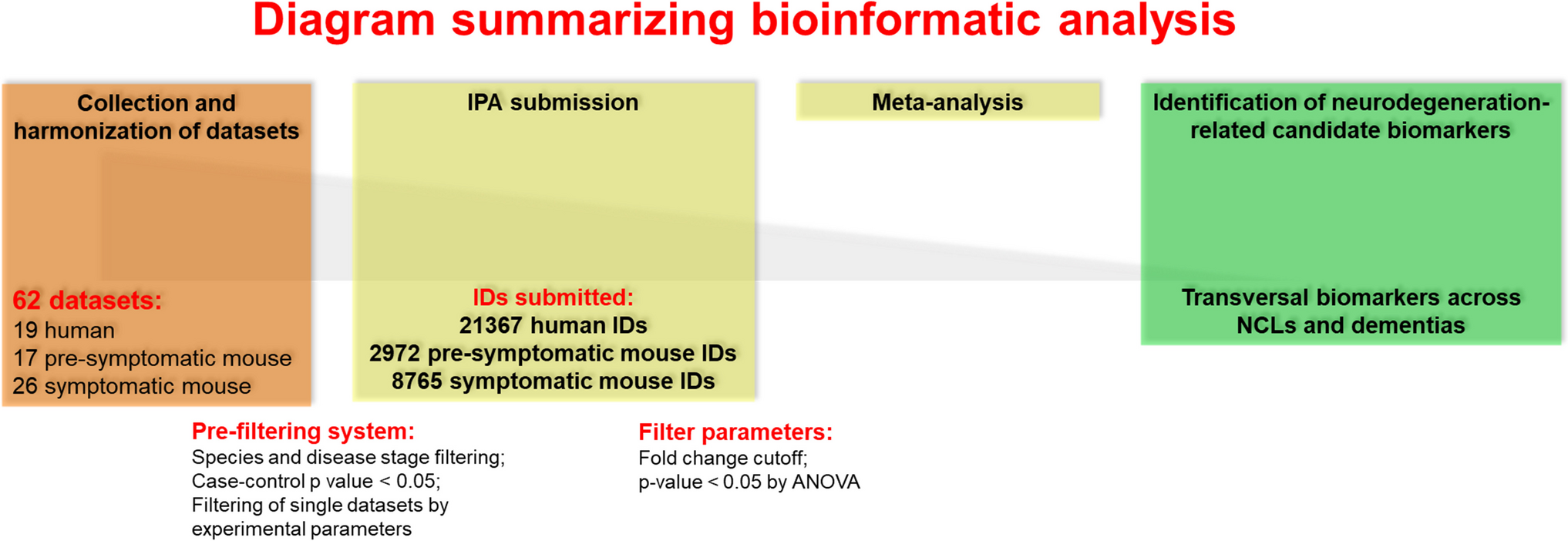 Dem-Aging: autophagy-related pathologies and the “two faces of dementia”