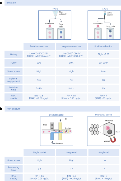 Stress-free single-cell transcriptomic profiling and functional genomics of murine eosinophils