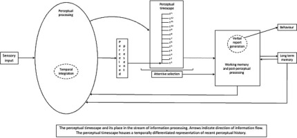 The perceptual timescape: Perceptual history on the sub-second scale