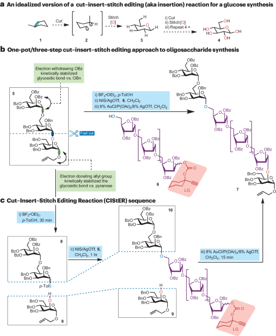 Tailor-made glycans