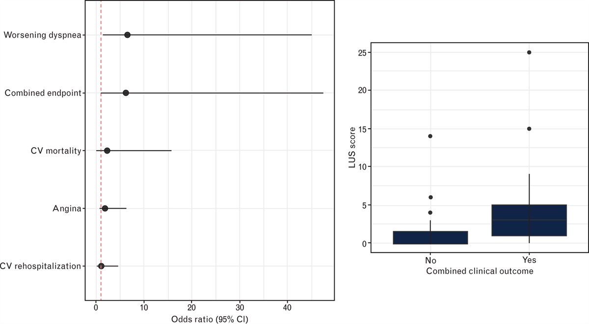 Lung ultrasound at discharge predicts outcomes in heart failure: a pilot study