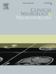 Risk factors for unfavorable outcome after spontaneous intracerebral hemorrhage in elderly patients