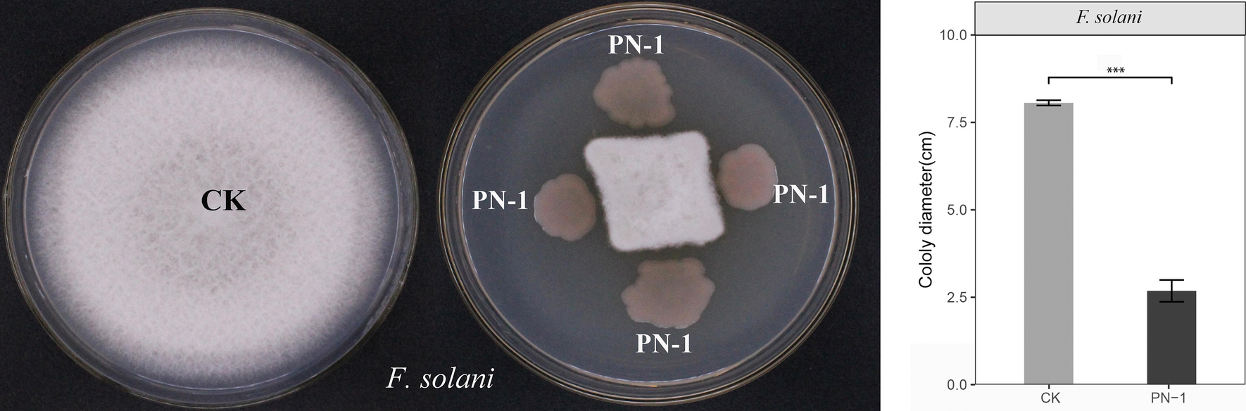 Comprehensive genomic analysis of Burkholderia arboris PN-1 reveals its biocontrol potential against Fusarium solani-induced root rot in Panax notoginseng