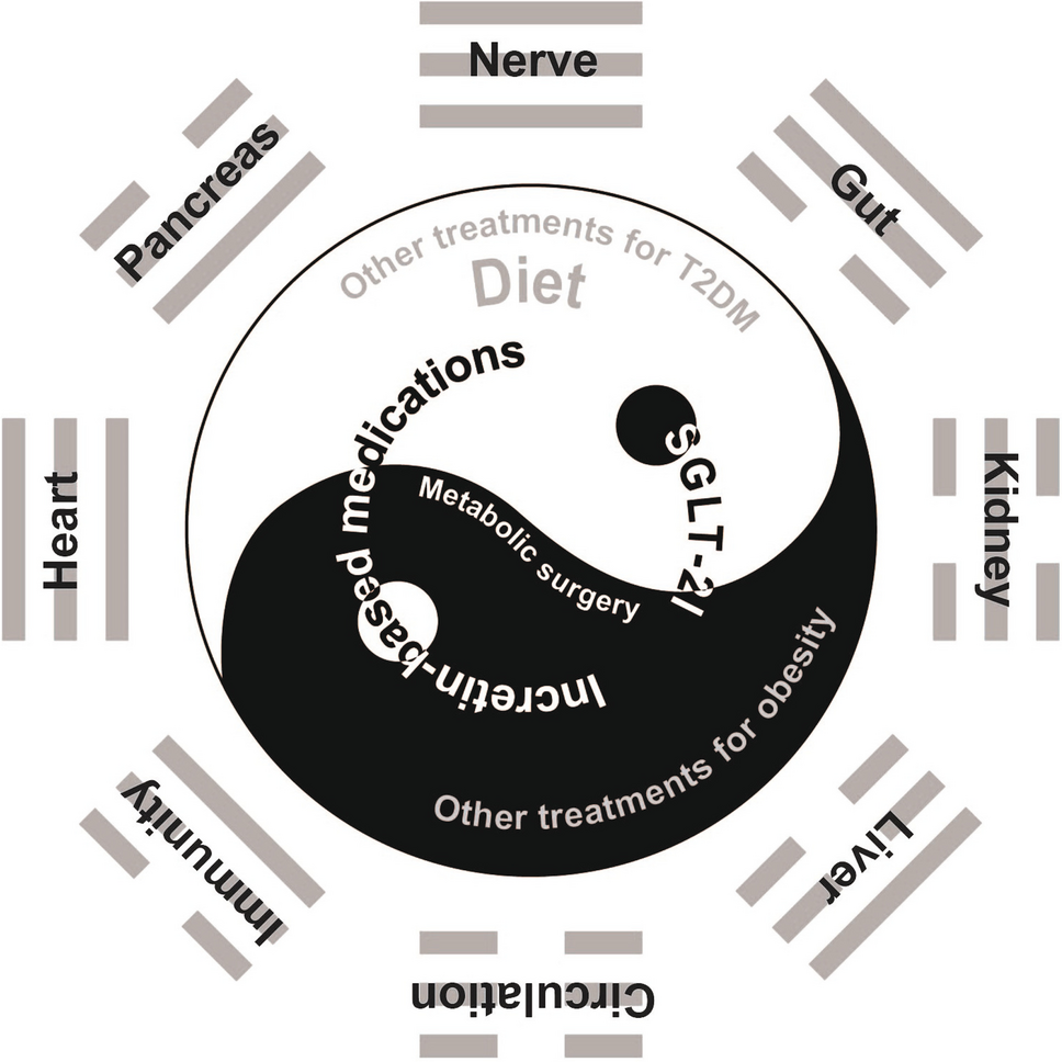 Body Fat Depletion: the Yin Paradigm for Treating Type 2 Diabetes