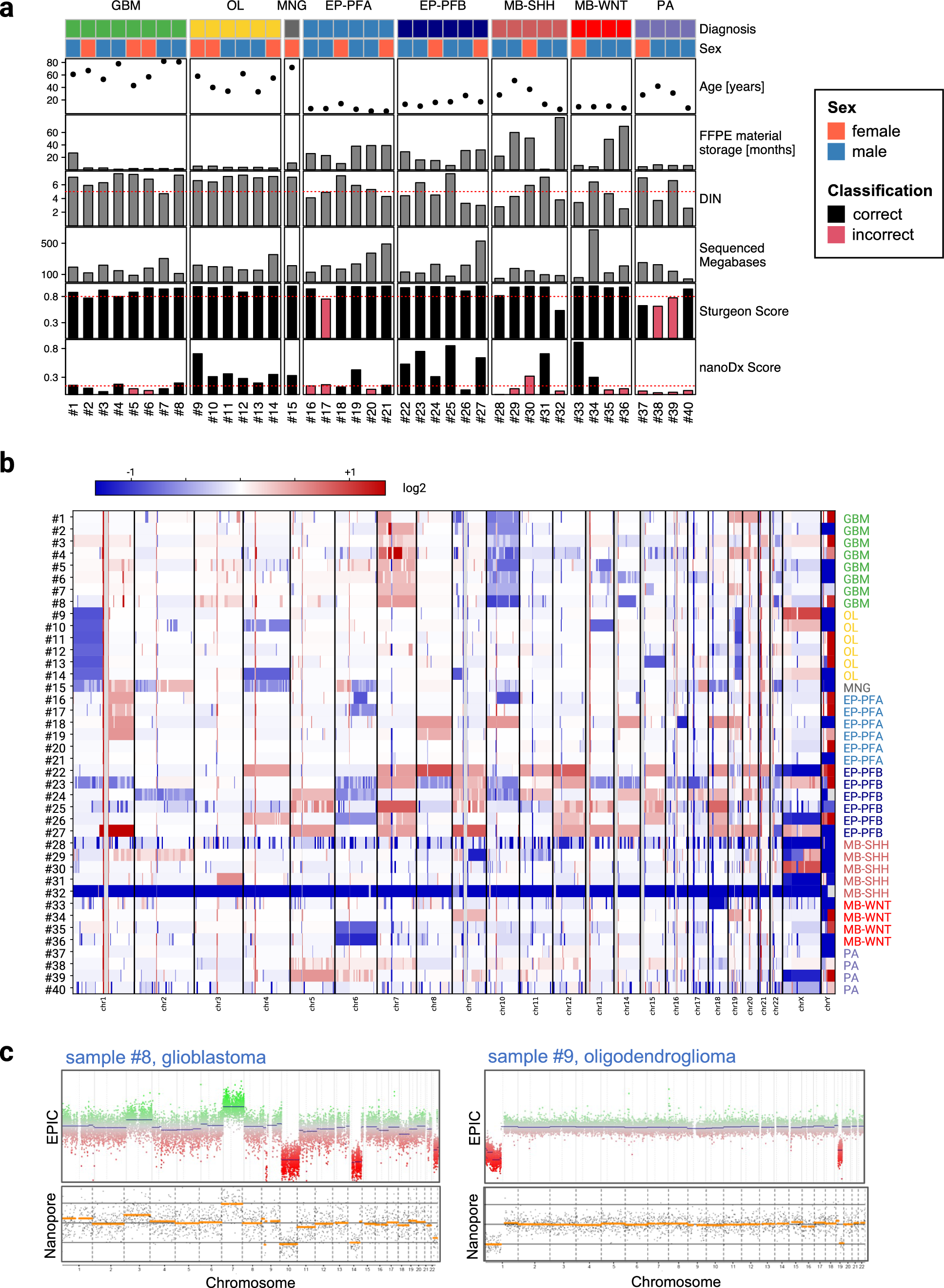 Nanopore sequencing from formalin-fixed paraffin-embedded specimens for copy-number profiling and methylation-based CNS tumor classification