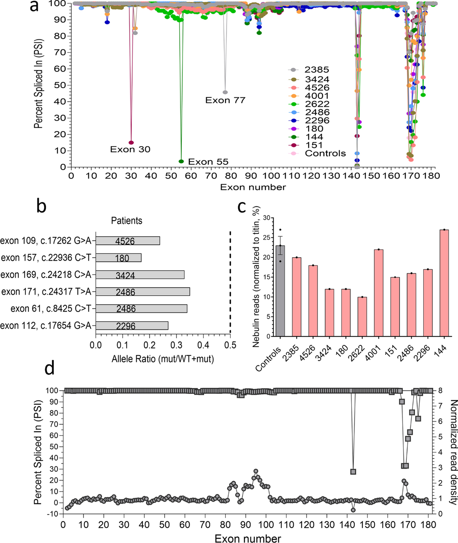 Characterization of NEB pathogenic variants in patients reveals novel nemaline myopathy disease mechanisms and omecamtiv mecarbil force effects