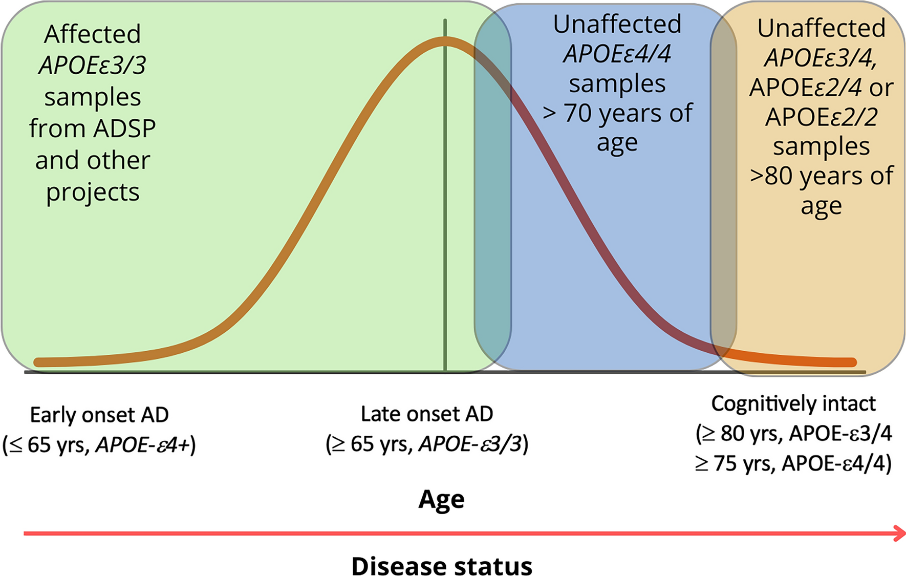 Rare genetic variation in fibronectin 1 (FN1) protects against APOEε4 in Alzheimer’s disease