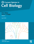 Molecular cartography within axons