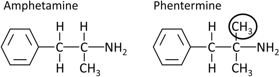 Phentermine in the Modern Era of Obesity Pharmacotherapy: Does It Still Have a Role in Treatment?