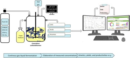 Continuous H-B-E fermentation by Clostridium carboxidivorans: CO vs syngas