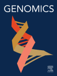 Genetic structural analysis of different breeds and geographical groups of Fenneropenaeus chinensis reveals population diversity