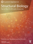 Metamorphic proteins and how to find them