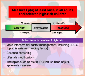 A focused update to the 2019 NLA scientific statement on use of lipoprotein(a) in clinical practice