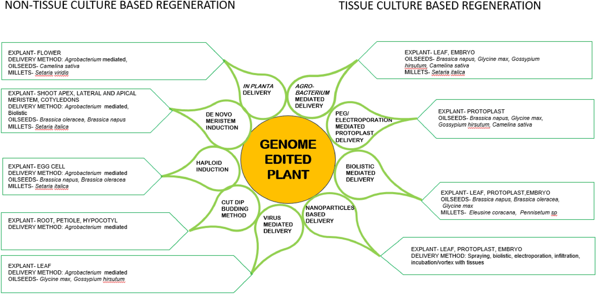 Current approaches and future potential for delivering CRISPR/Cas components in oilseeds and millets