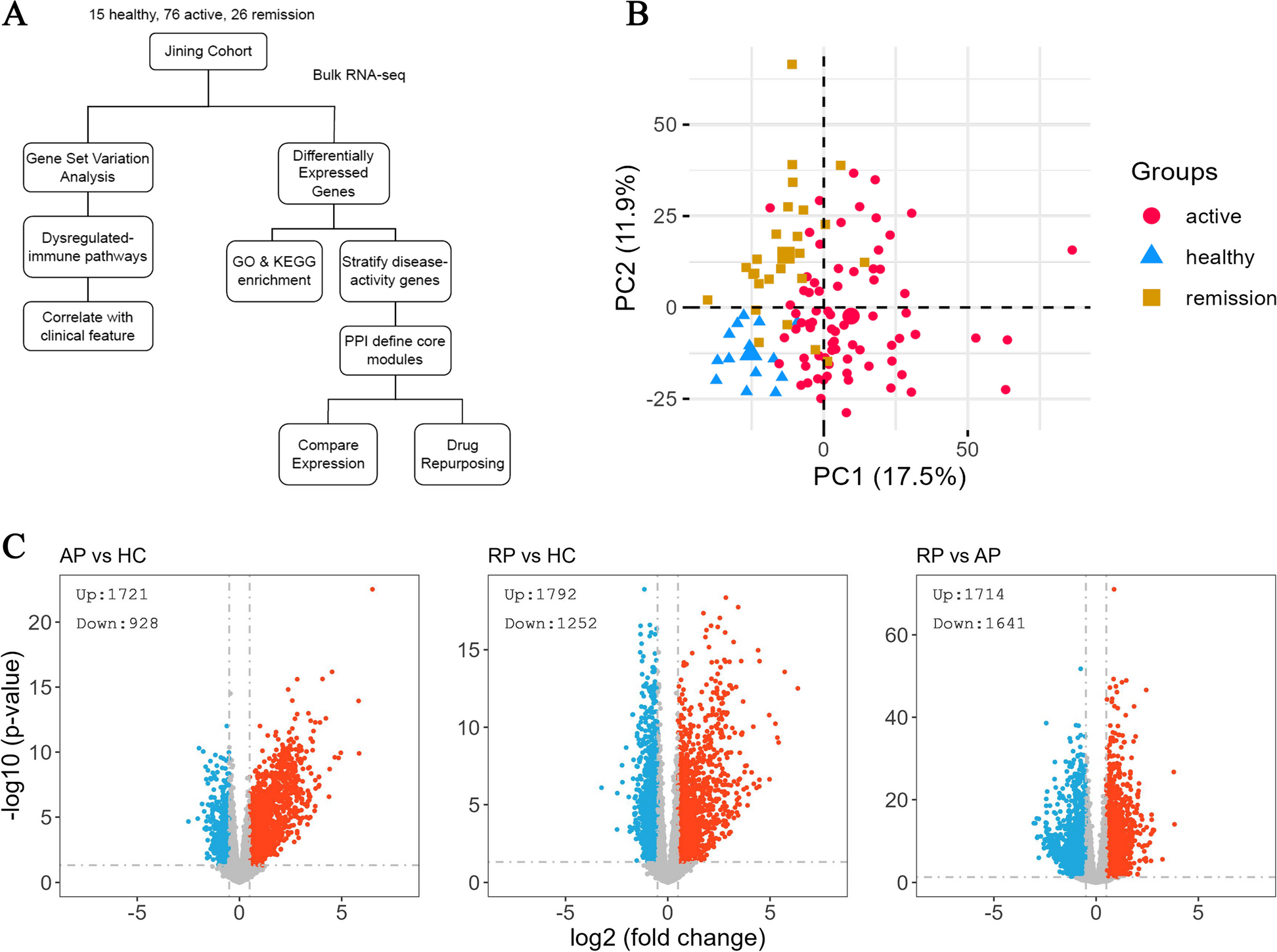 Unraveling transcriptomic signatures and dysregulated pathways in systemic lupus erythematosus across disease states