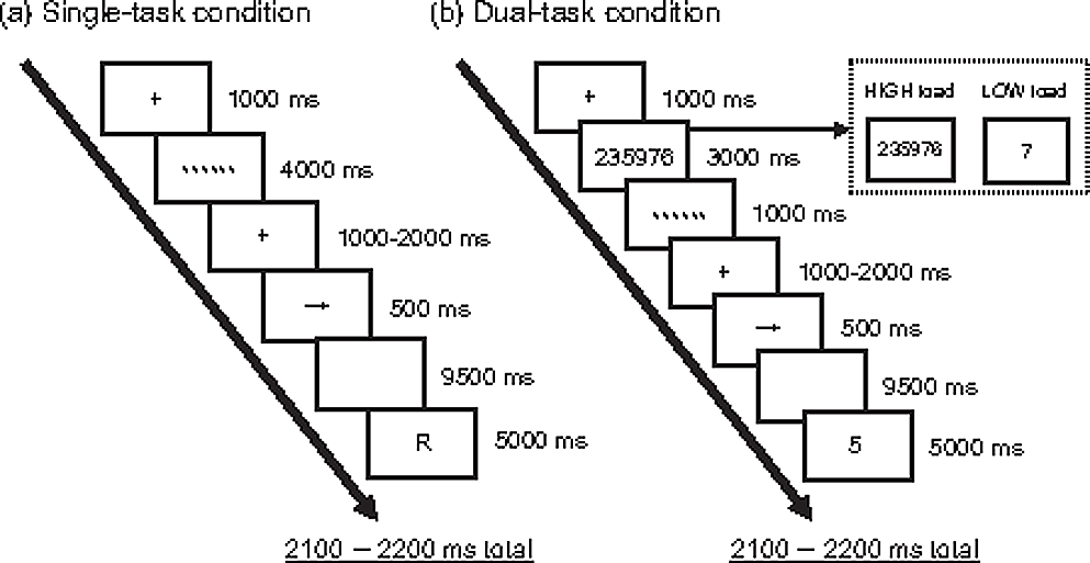 Working memory load modulates anticipatory postural adjustments during step initiation