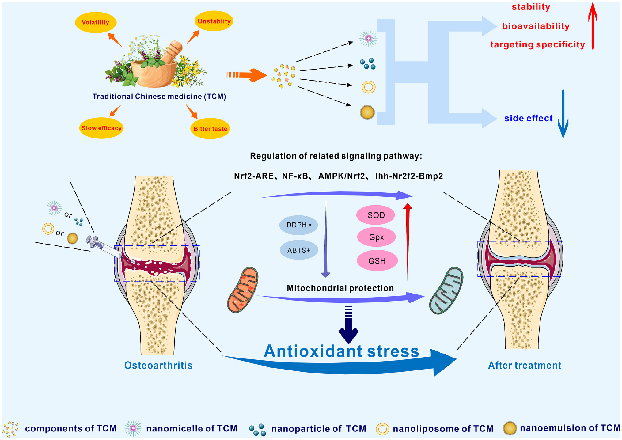 Research progress on nanotechnology of traditional Chinese medicine to enhance the therapeutic effect of osteoarthritis