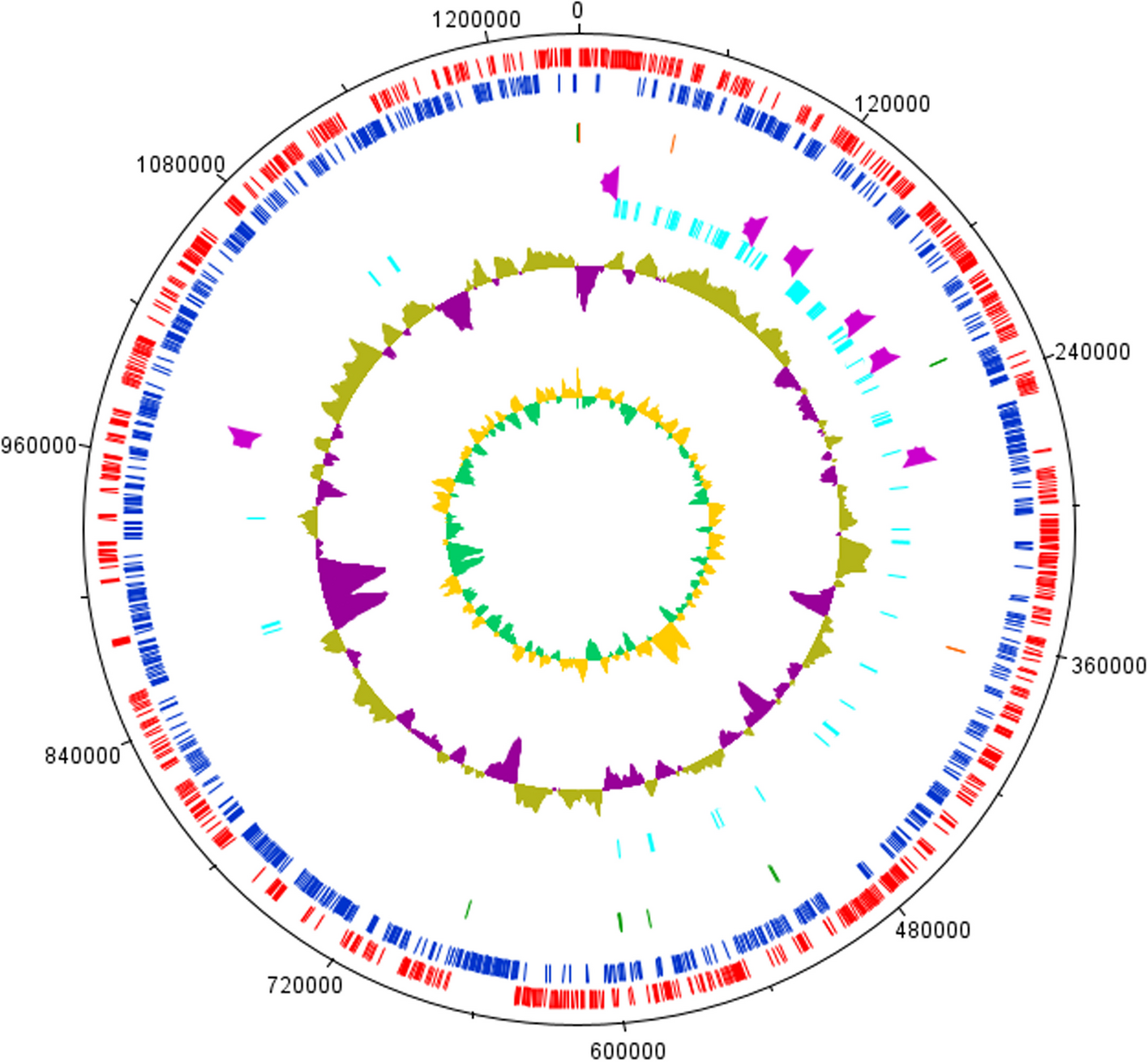 Uncovering the lignin-degrading potential of Serratia quinivorans AORB19: insights from genomic analyses and alkaline lignin degradation