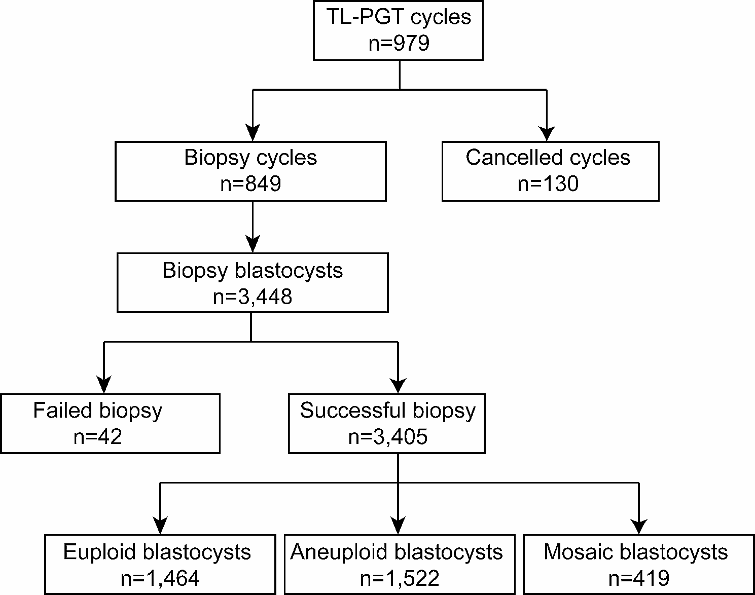 Enhancing clinical utility: deep learning-based embryo scoring model for non-invasive aneuploidy prediction