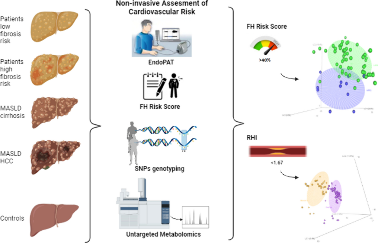 Evaluating cardiovascular risk in metabolic steatosis with precision medicine non-invasive approaches: insights from a cohort study