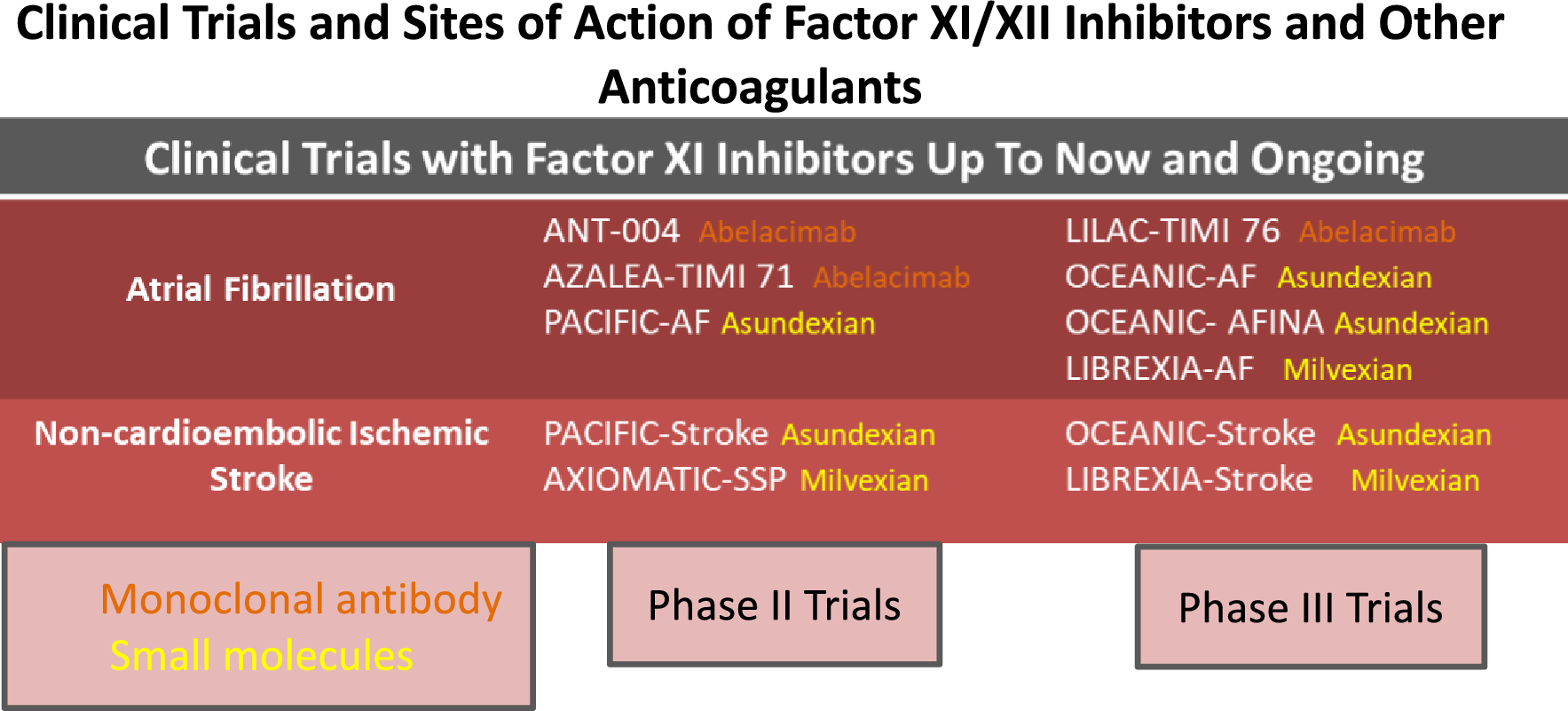 Factor XI Inhibitors: perspectives in primary and secondary prevention of ischemic stroke